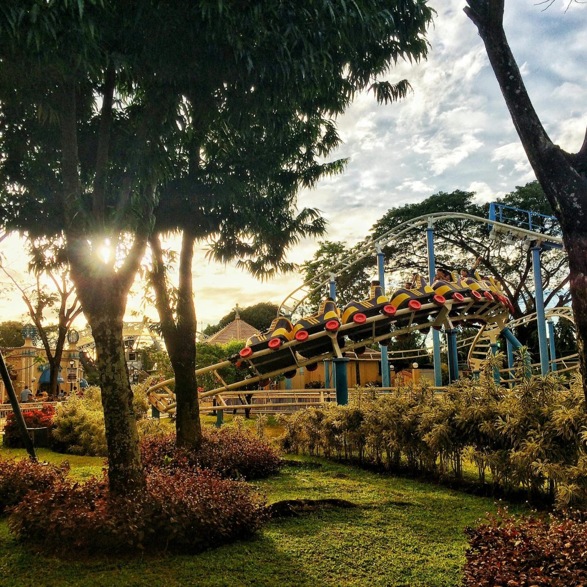 Vibrant amusement park scene with roller coaster among lush trees and grass in daylight.